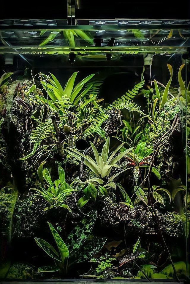 國際造景大賽的詳細獲獎名單