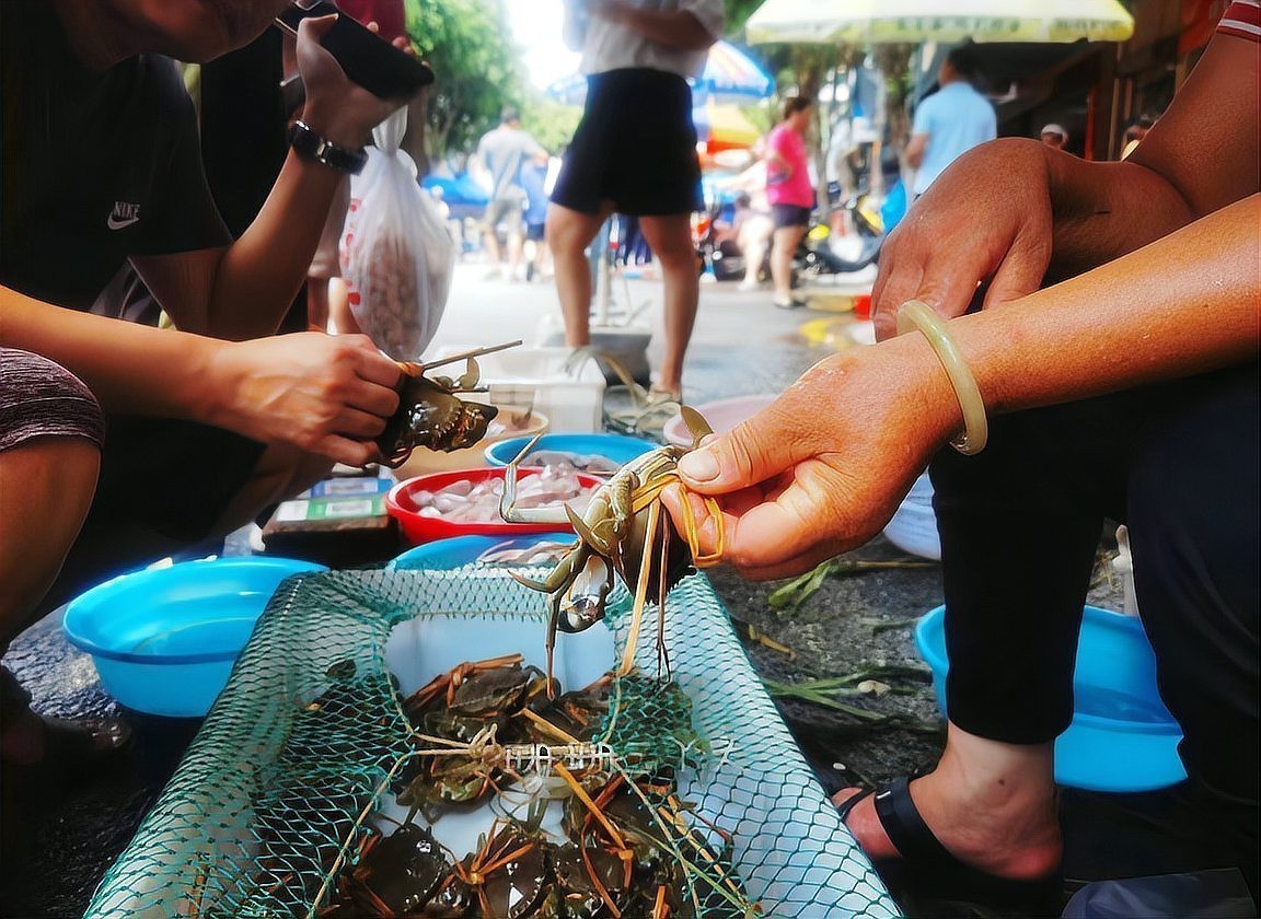 廣州最大的魚塘漁場