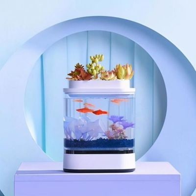 小米畫法幾何魚缸解鎖：關于小米畫法幾何魚缸的解鎖詳情