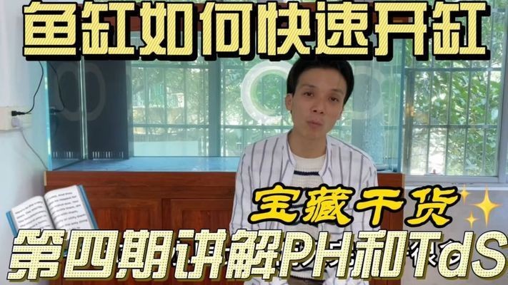龍魚專用魚缸開缸視頻