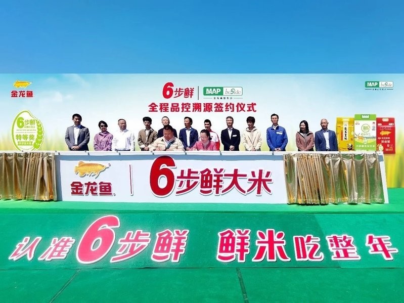 金龍魚冠軍家庭的選擇