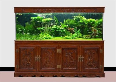 廣州魚缸定制廠家推薦：廣州一線城市魚缸定制廠家值得推薦的魚缸定制廠家