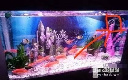 魚缸出水方式：魚缸出水方式介紹