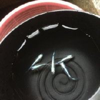 虎魚苗為什么那么難養