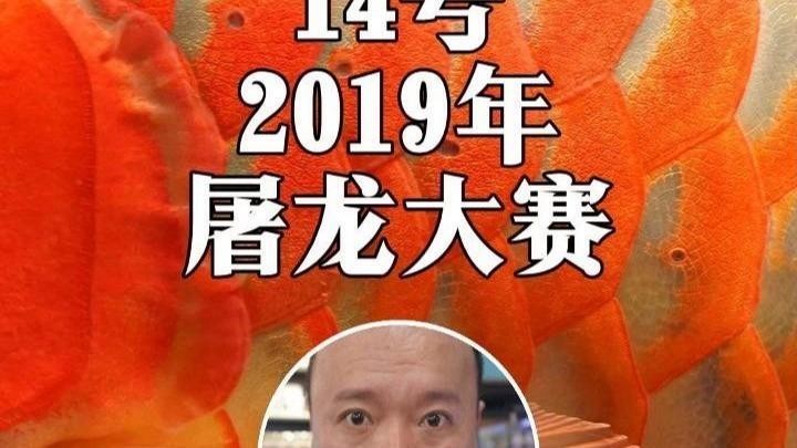 上海長城杯龍魚比賽為啥會死魚