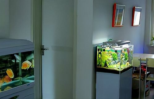 開門就見魚缸 正對大門