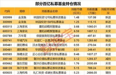 鄂倫春自治旗大楊樹鎮街西韻竹花卉（北歐電動汽車極星）