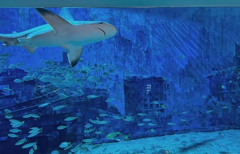 北京水族展