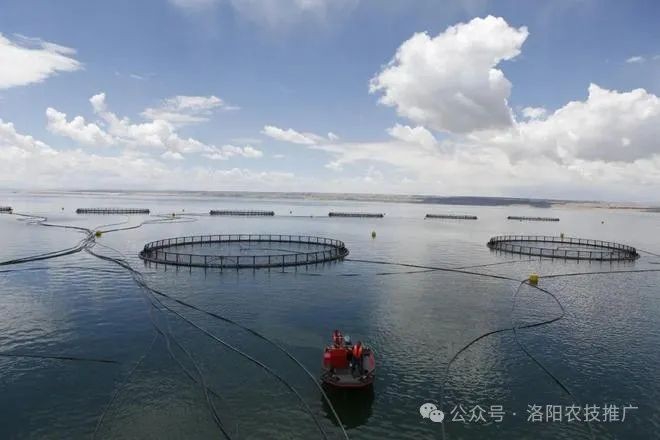 2024年漁具展覽有哪些創新技術？