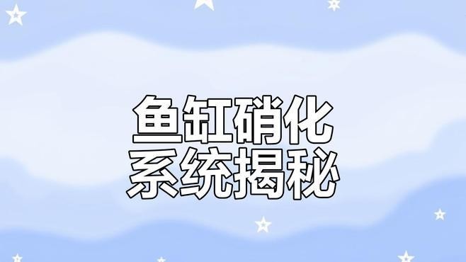 有哪些品牌硝化細(xì)菌推薦？ 有哪些品牌硝化細(xì)菌推薦？ 2025長(zhǎng)城杯龍魚(yú)大賽 第7張