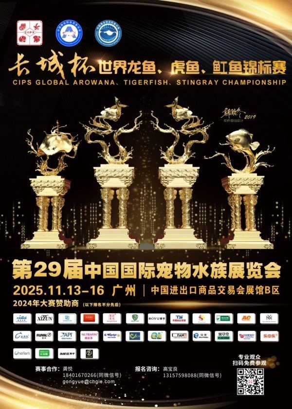 長城杯龍魚大賽冠軍名單最新消息