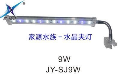 魚缸照明的科學原理：diy魚缸照明系統diy魚缸照明的科學原理了解魚缸照明的科學原理