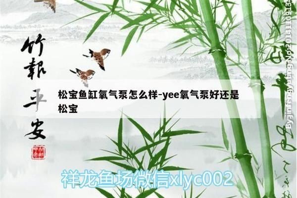 松寶魚缸使用說明書：如何正確安裝和使用松寶魚缸