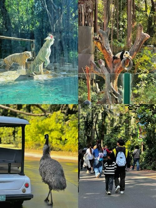 廣州長隆野生動物園門票優惠政策