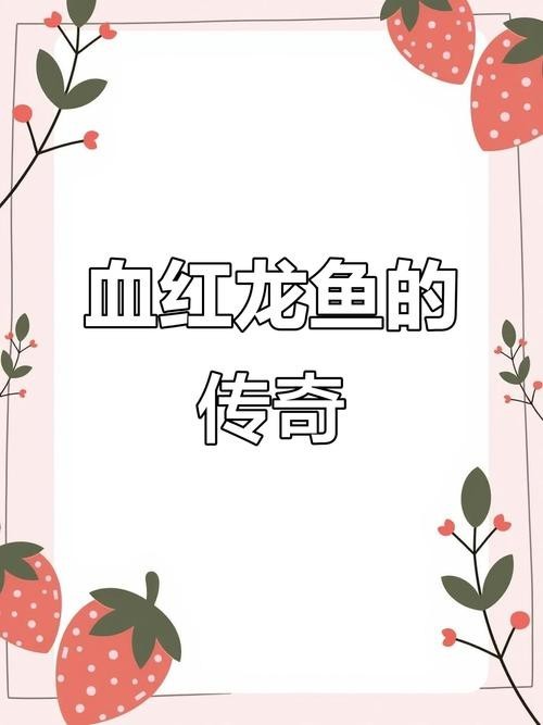 給我更多紅龍比賽冠軍魚的高清圖