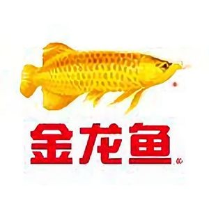 金龍魚頭像 微信：什么是金龍魚頭像微信頭像