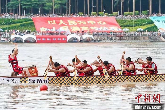 南寧龍魚比賽事故最新消息查詢