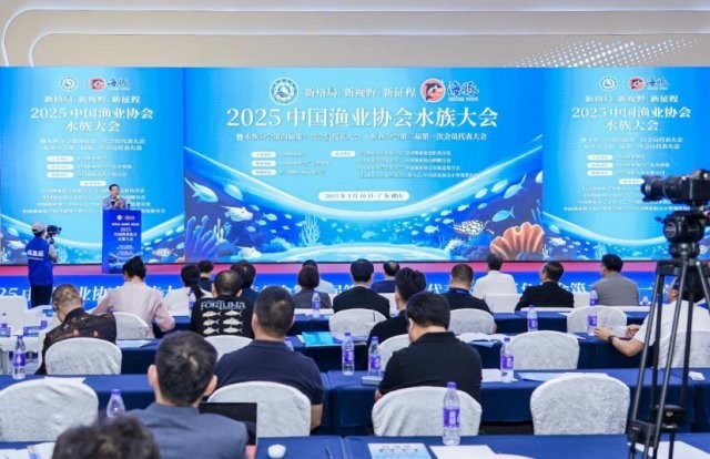 武清龍魚的主要產品有哪些?,天津武清區龍魚烈焰漁具經營店 龍魚百科 第2張 武清龍魚的主要產品有哪些?,天津武清區龍魚烈焰漁具經營店 武清龍魚的主要產品有哪些?,天津武清區龍魚烈焰漁具經營店 龍魚百科 第2張
