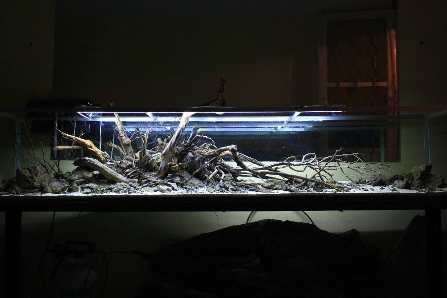 魚缸沉木的處理方法：放魚缸里的木頭沉木是一種常用于水族箱造景的材料