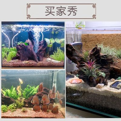 魚缸沉木的處理方法：放魚缸里的木頭沉木是一種常用于水族箱造景的材料