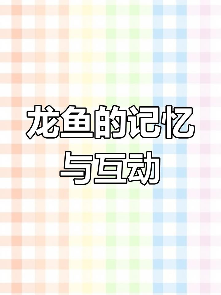 龍魚養久了會認主人嗎
