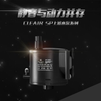 龍魚缸的水位多少合適（關于龍魚缸水位高度的詳細介紹）