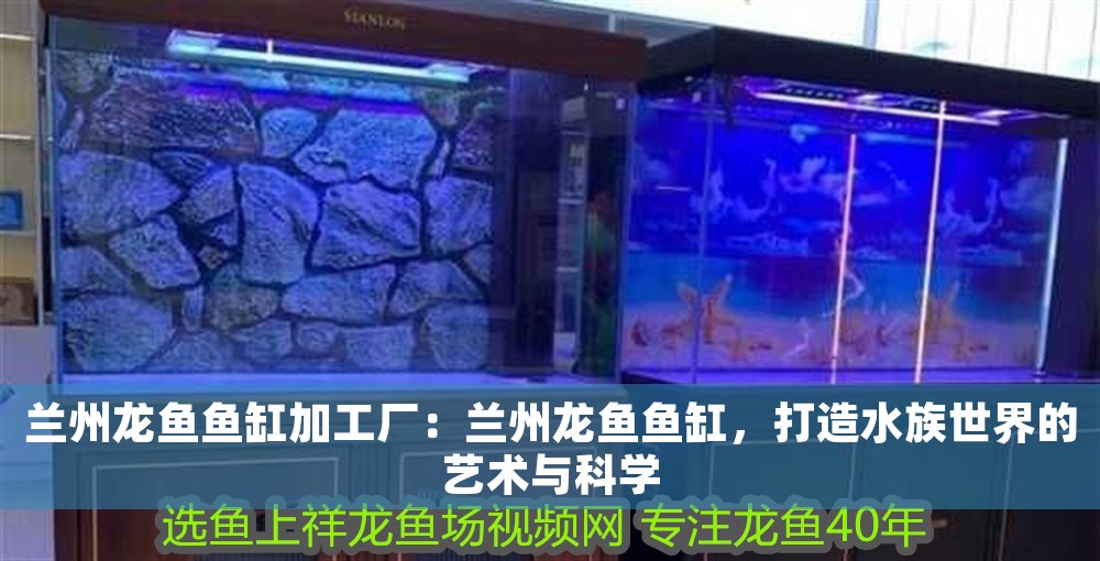 蘭州龍魚魚缸加工廠：蘭州龍魚魚缸，打造水族世界的藝術與科學
