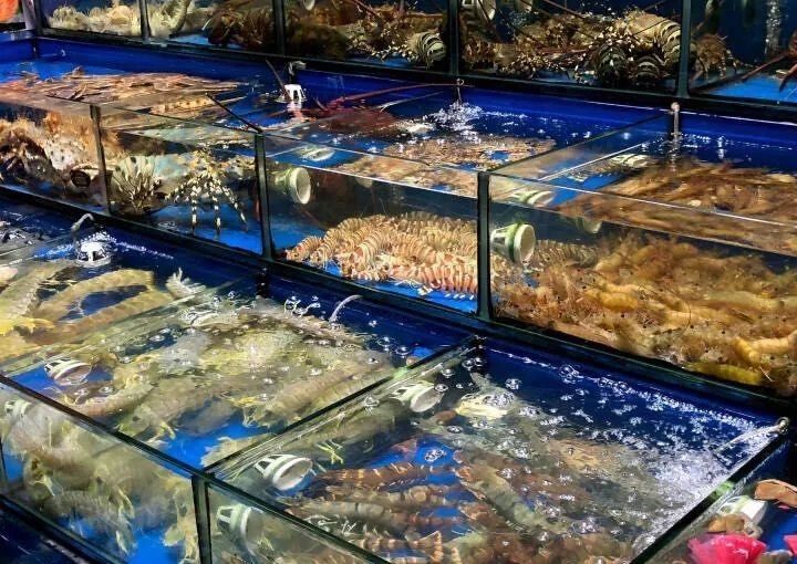 附近水產批發市場