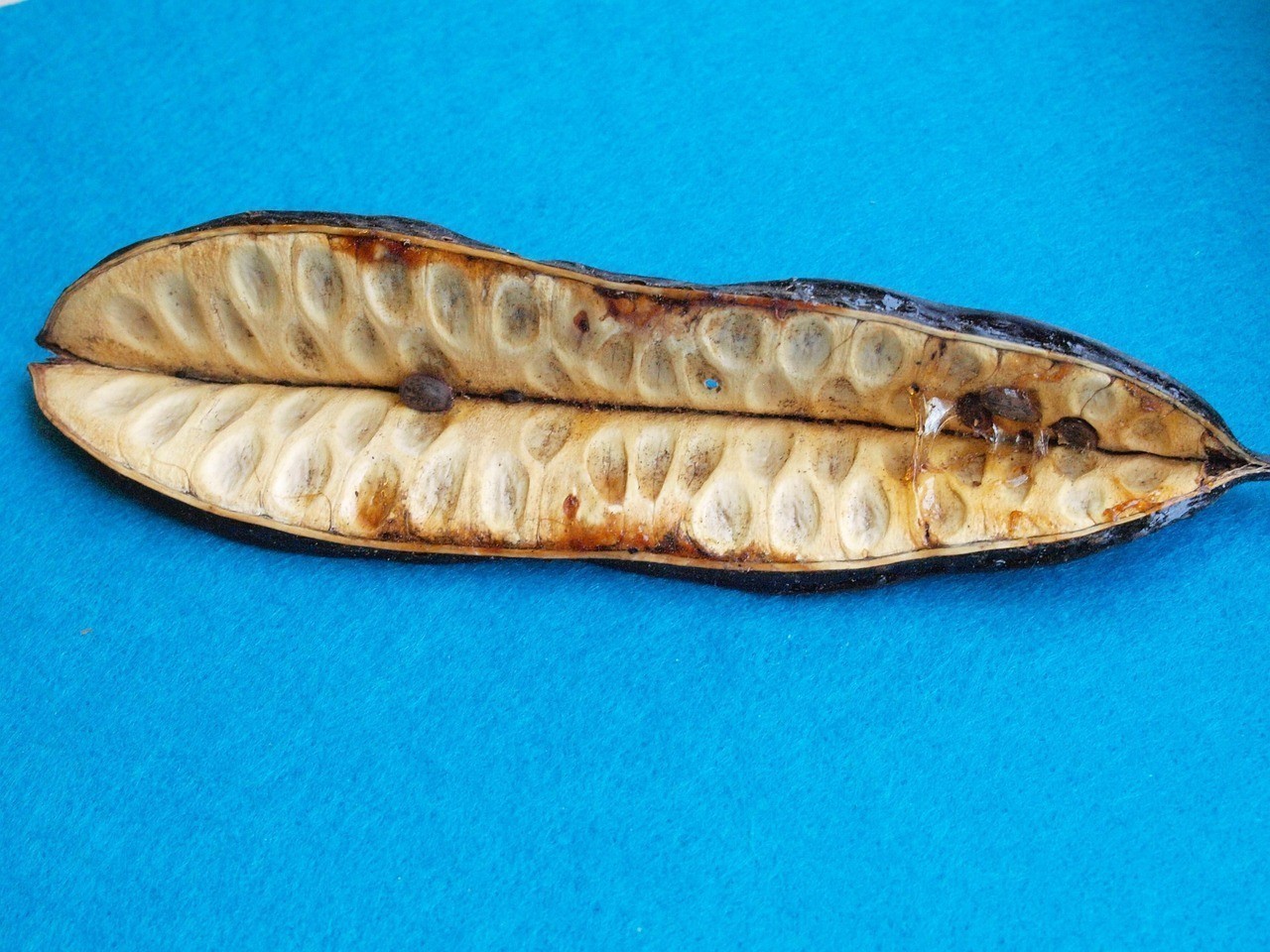 四種人不宜吃黑魚