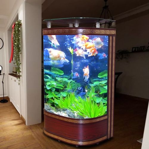 金點尚品魚缸怎么樣?。航瘘c尚品水族魚缸價格