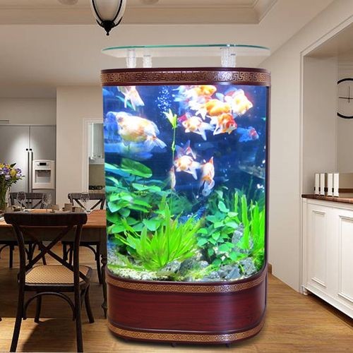 金點尚品魚缸怎么樣?。航瘘c尚品水族魚缸價格