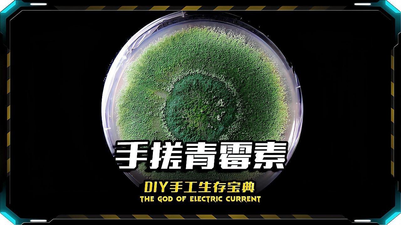 有哪些有效的龍魚白膜治療藥物？