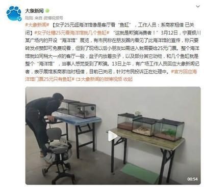 發(fā)魚缸里的魚的朋友圈（發(fā)魚缸里的魚的朋友圈文字和靈感）