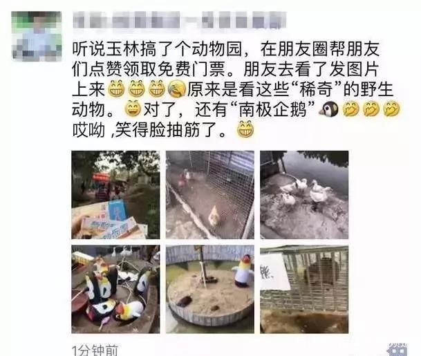發(fā)魚缸里的魚的朋友圈（發(fā)魚缸里的魚的朋友圈文字和靈感）