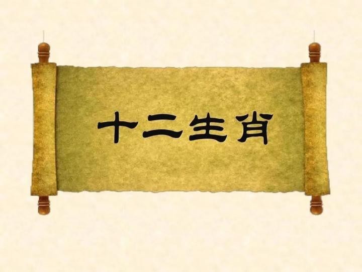 龍魚最適合哪個屬相養