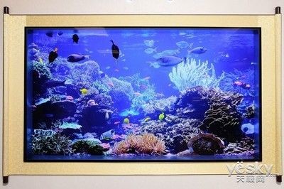 國產魚缸品牌魚缸品牌排行榜前十名魚缸品牌排行榜：國產水族箱品牌推薦
