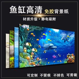 魚缸背景圖怎樣貼：如何正確的貼魚缸背景圖