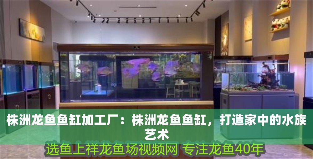 株洲龍魚魚缸加工廠：株洲龍魚魚缸，打造家中的水族藝術(shù)