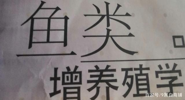 株洲龍魚魚缸加工廠：株洲龍魚魚缸，打造家中的水族藝術(shù)
