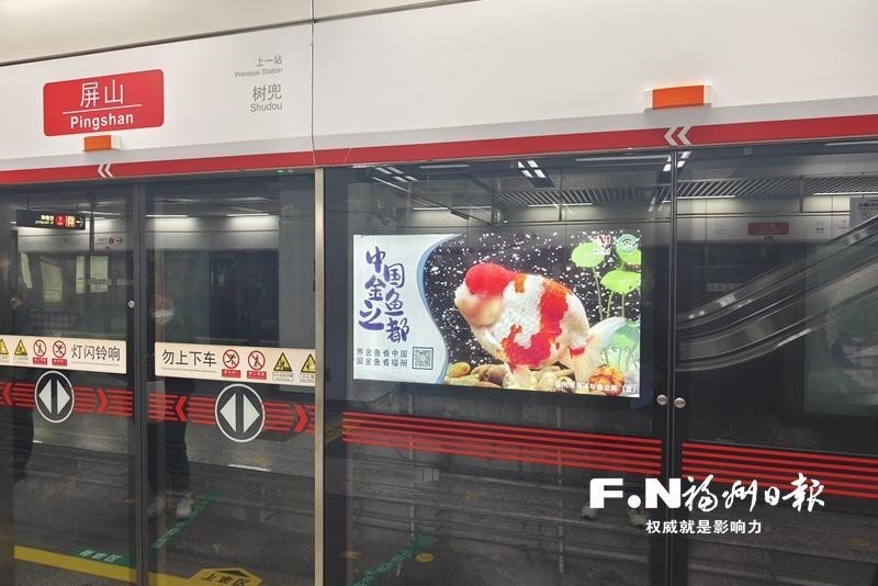 福州金魚神州行巡展還有哪些站？