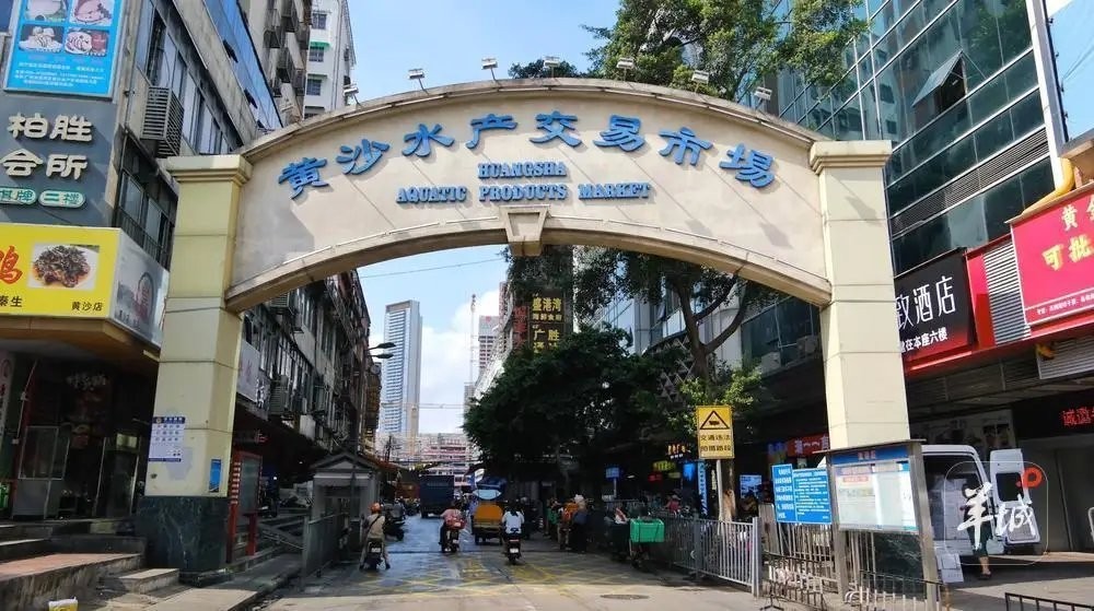 2023年廣州龍魚批發市場有搬遷計劃嗎？