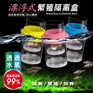 魚缸隔離盒能養魚嗎：如何自制魚缸隔離盒