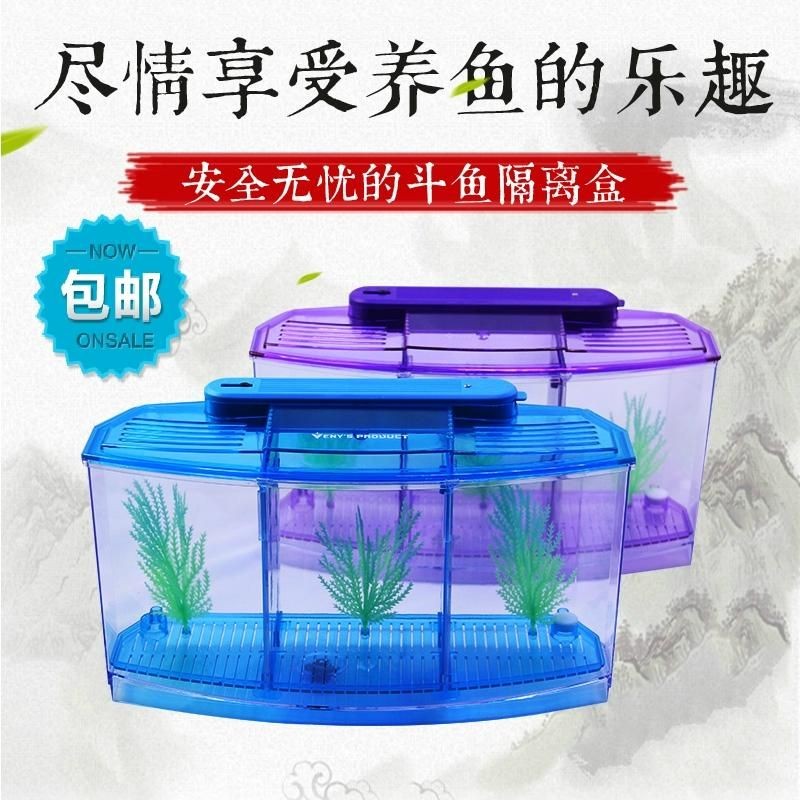 魚缸隔離盒能養魚嗎：如何自制魚缸隔離盒
