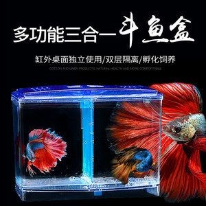 魚缸隔離盒能養魚嗎：如何自制魚缸隔離盒