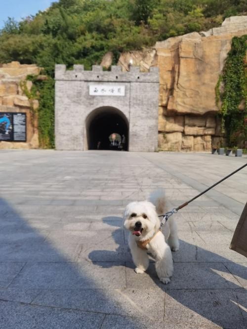 水長城景區(qū)有寵物寄養(yǎng)服務(wù)嗎？