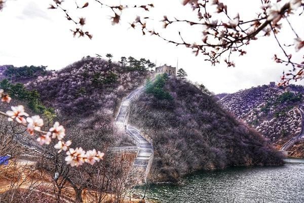水長城景區(qū)有寵物寄養(yǎng)服務(wù)嗎？