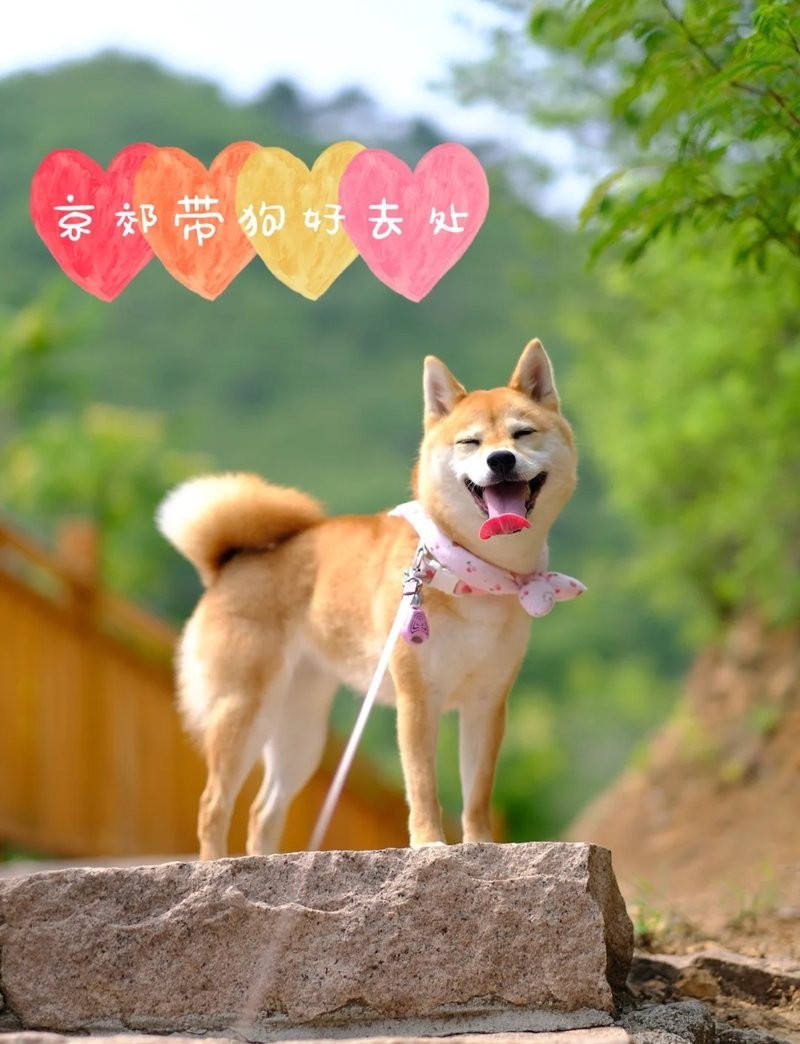 水長城景區(qū)有寵物寄養(yǎng)服務(wù)嗎？