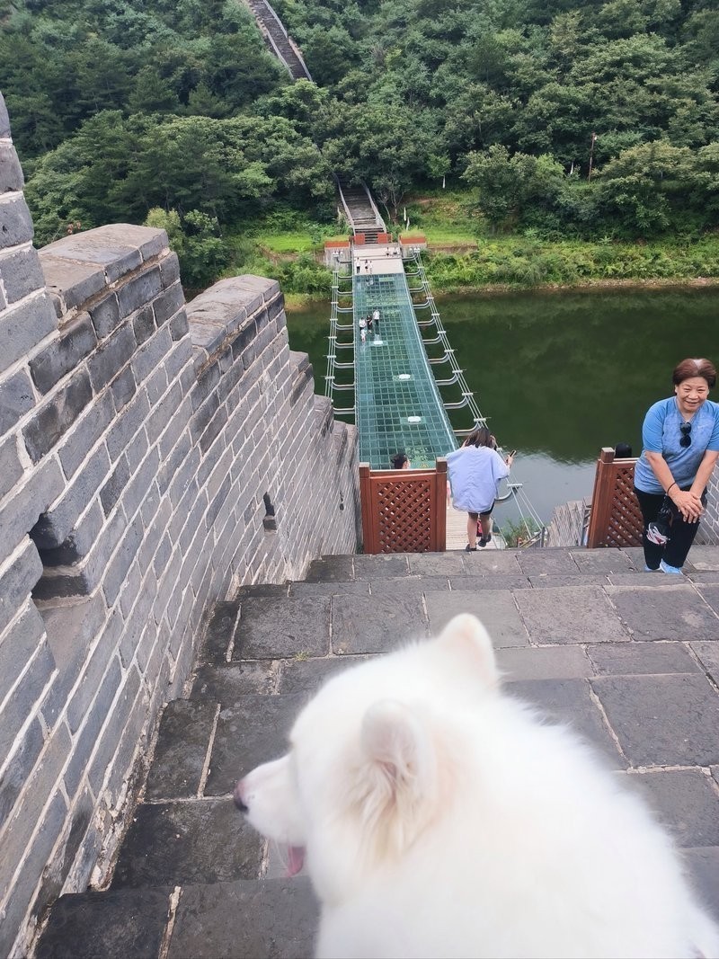 水長城景區(qū)有寵物寄養(yǎng)服務(wù)嗎？