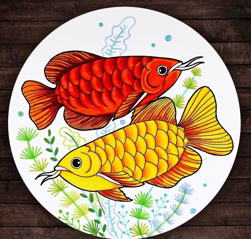 龍魚最旺的6種顏色 龍魚最旺的6種顏色 龍魚論壇 第5張