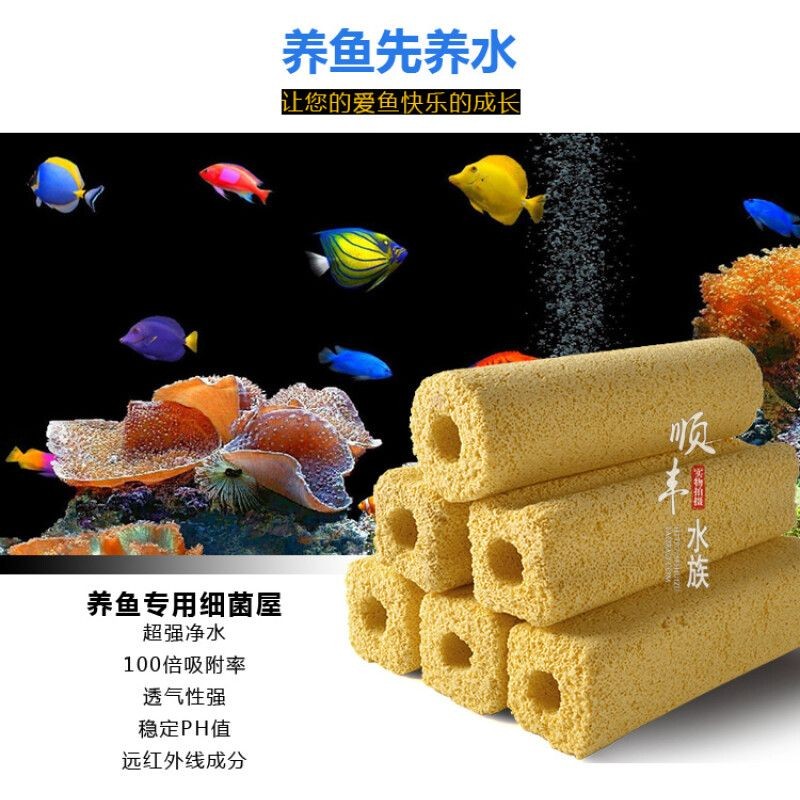 魚缸過濾系統(tǒng)的構(gòu)建魚缸生態(tài)系統(tǒng)的構(gòu)建魚缸生態(tài)系統(tǒng)：如何選擇一個健康的魚缸生態(tài)系統(tǒng)